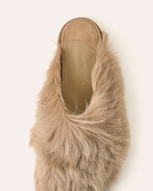 ZAY | Shearling